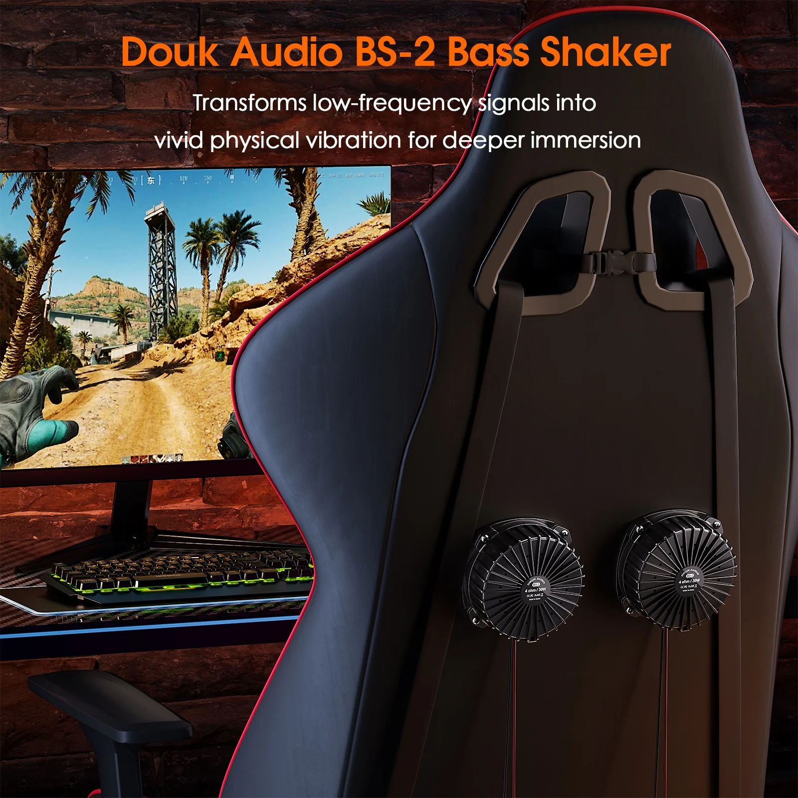 Douk Audio BS-2 30W 4Ω Bass Sh - Home Cinema Recliner Chairs 评论和价格
