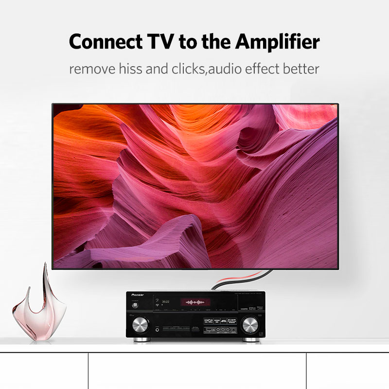 UGREEN 2RCA to 2 RCA Male to M - Home Cinema Solution 评论和价格