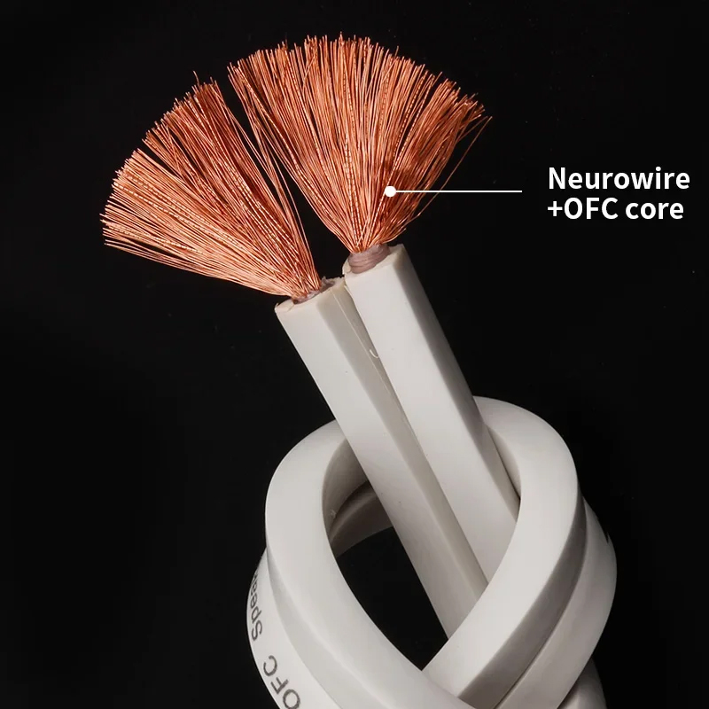 YYTCG DIY Loud Speaker Cable H - Home Cinema Solution 评论和价格